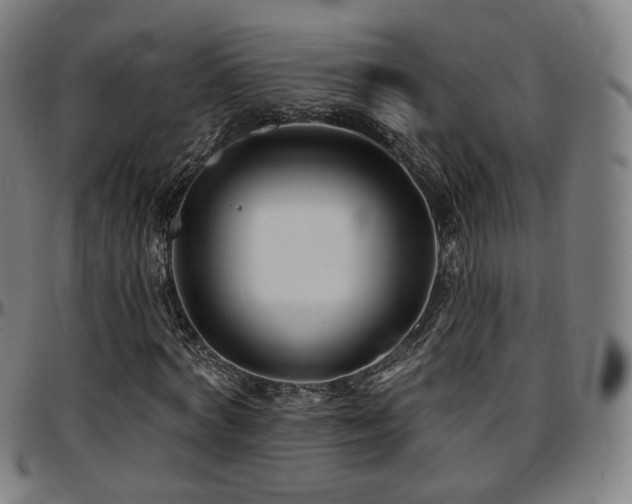 X0000097630772200802291339