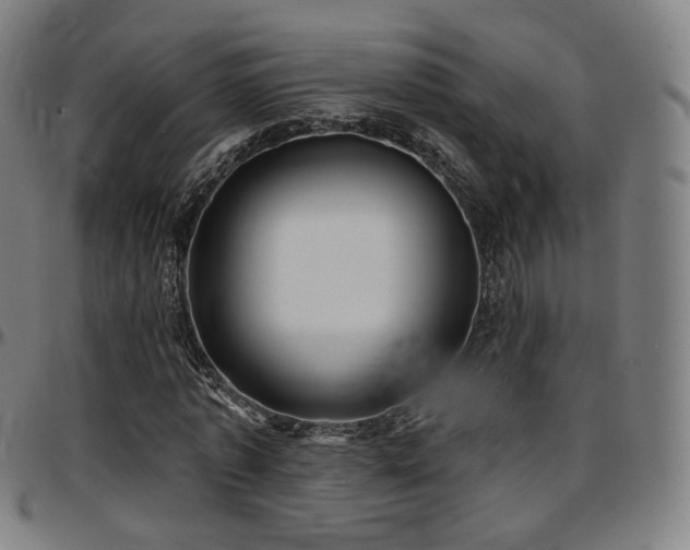 X0000097630773200802291339
