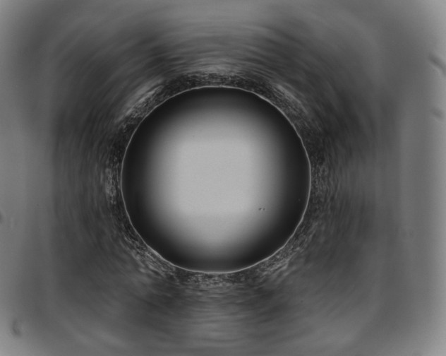 X0000097630774200802291339
