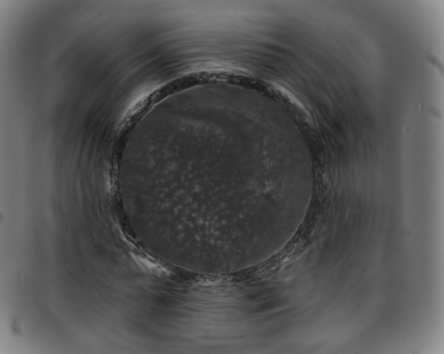 X0000097630775200802291339