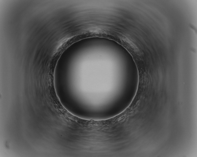 X0000097630776200802291339