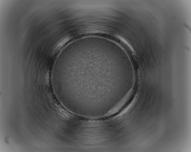 X0000097630777200802291339