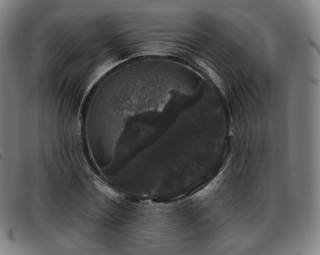 X0000097630779200802291339