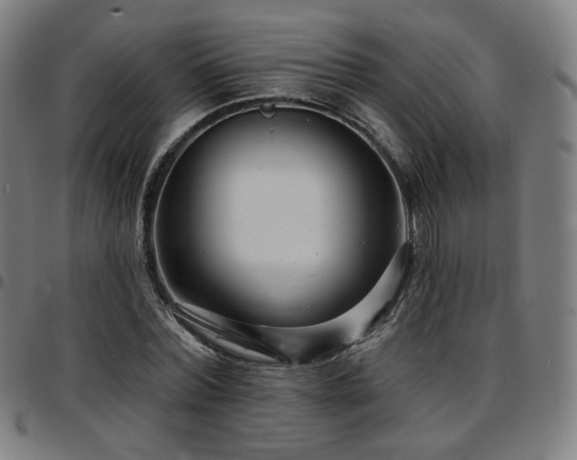 X0000097630780200802291339