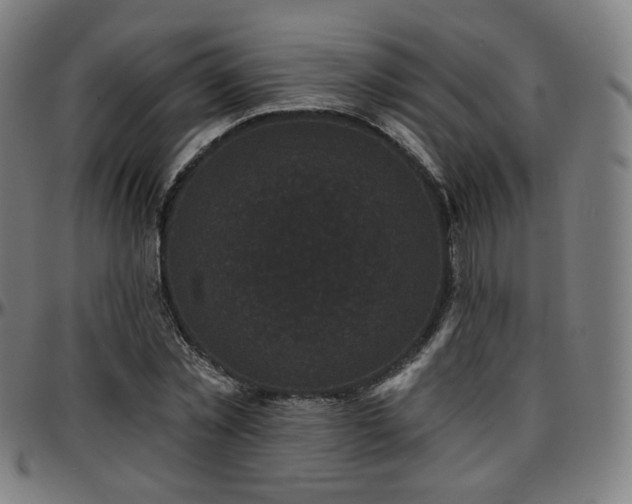 X0000097630781200802291339