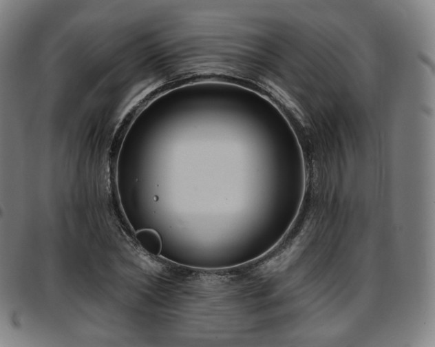 X0000097630782200802291339
