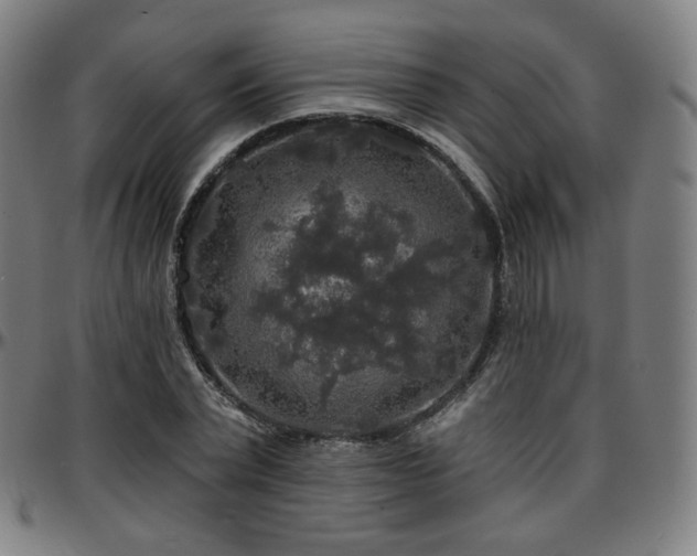 X0000097630783200802291339
