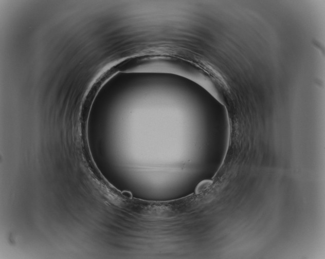 X0000097630784200802291339