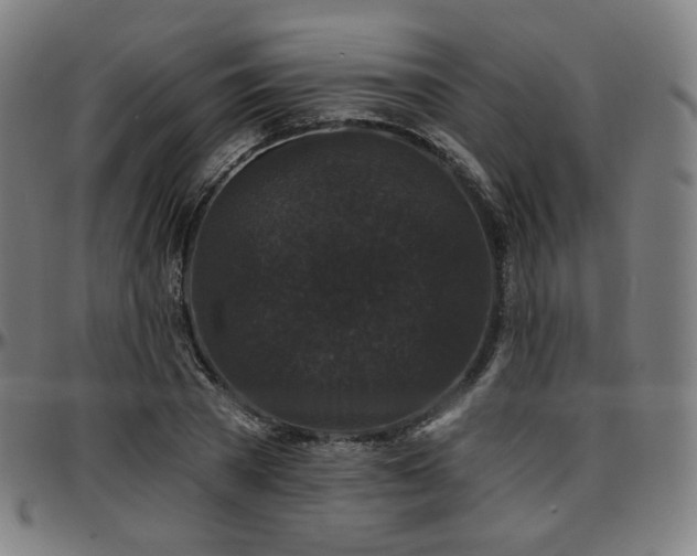 X0000097630785200802291339