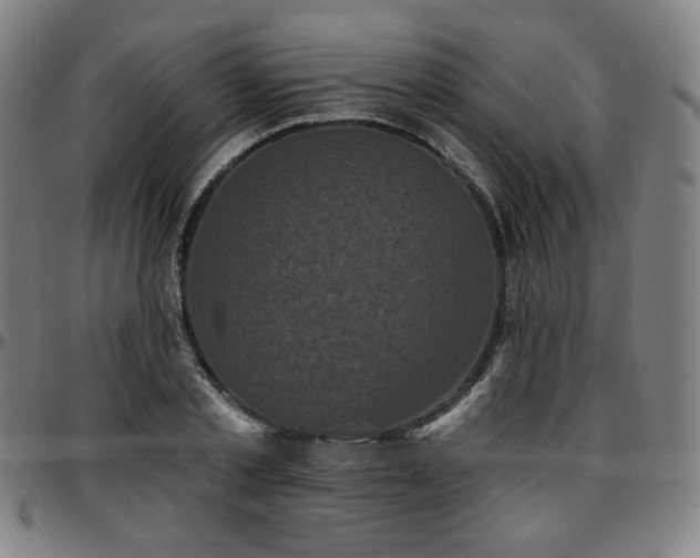 X0000097630789200802291339