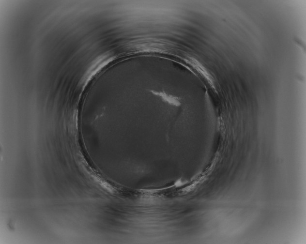 X0000097630790200802291339
