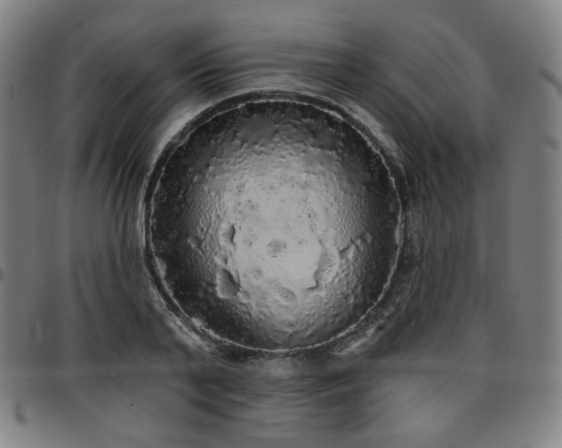 X0000097630791200802291339
