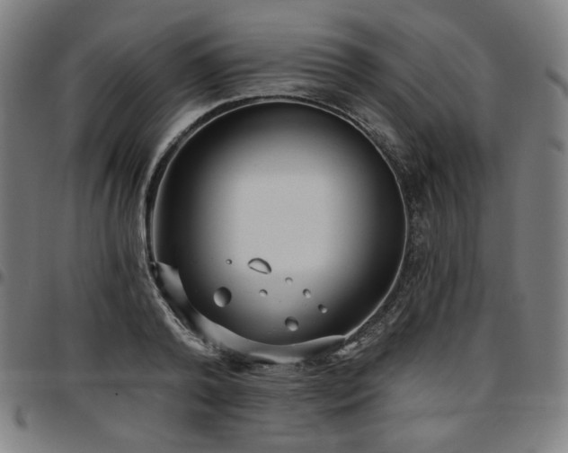 X0000097630792200802291339