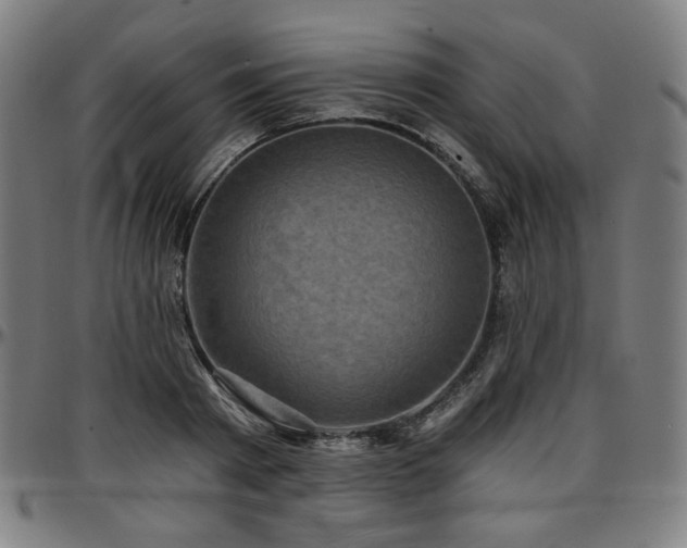 X0000097630793200802291339