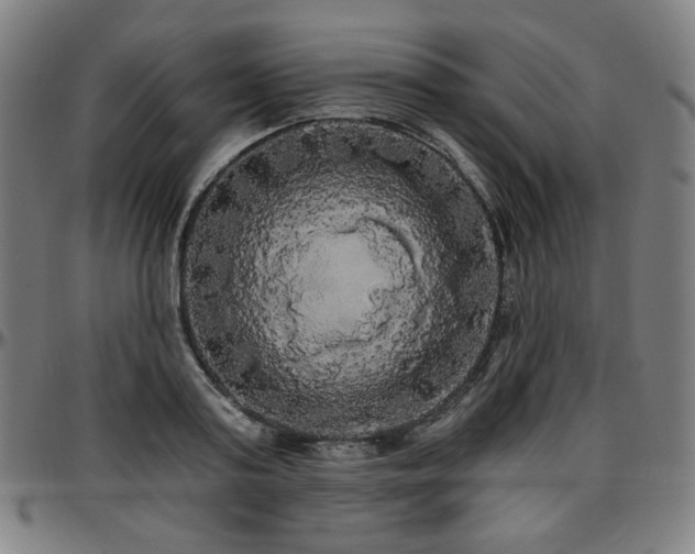 X0000097630795200802291339