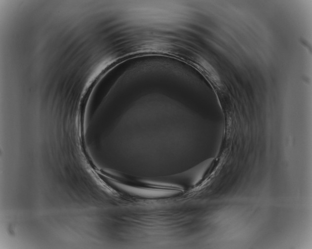 X0000097630796200802291339