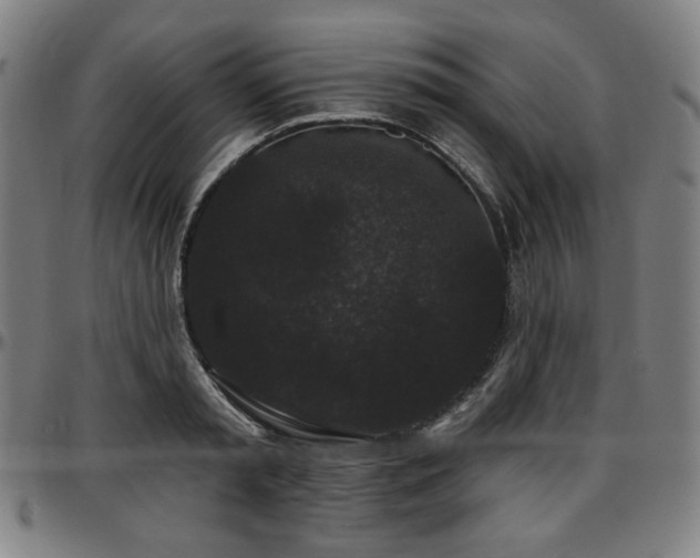 X0000097630797200802291339
