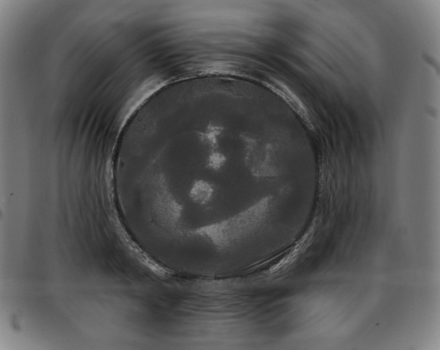 X0000097630798200802291339