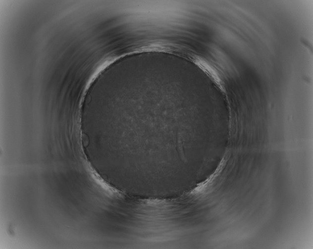 X0000097630800200802291339
