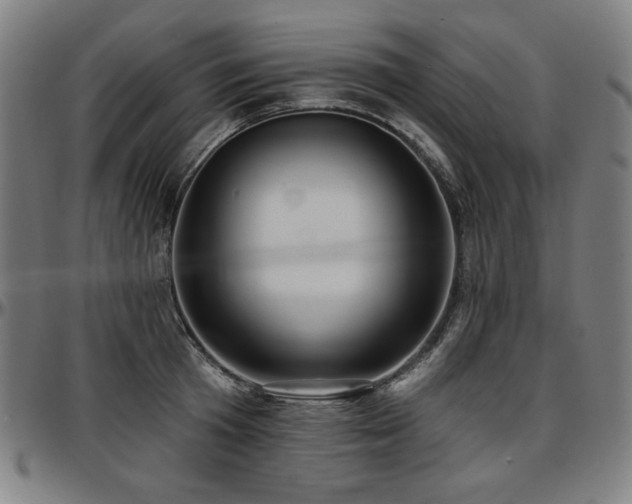 X0000097630801200802291339