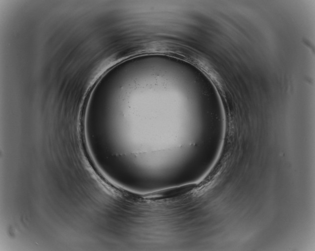 X0000097630803200802291339