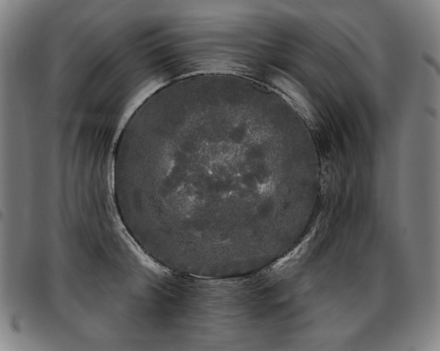 X0000097630804200802291339