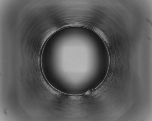 X0000097630805200802291339