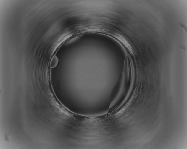X0000097630806200802291339