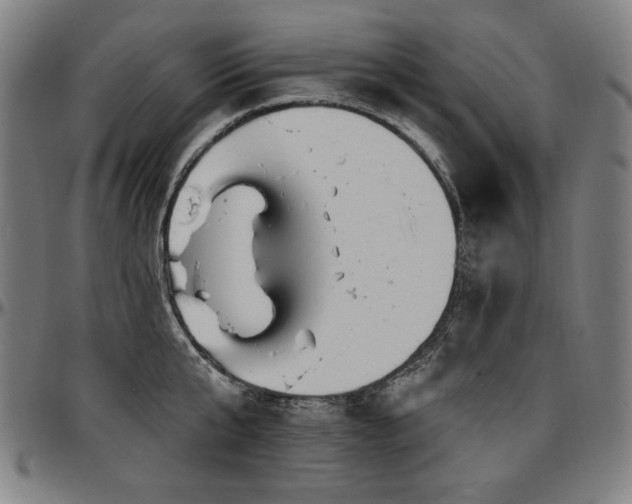 X0000097630807200802291339