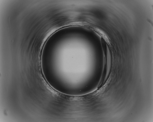 X0000097630808200802291339
