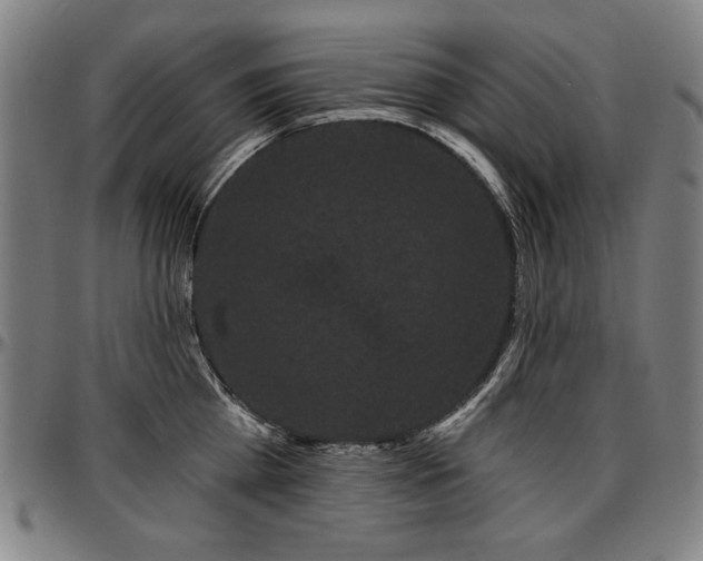 X0000097630809200802291339