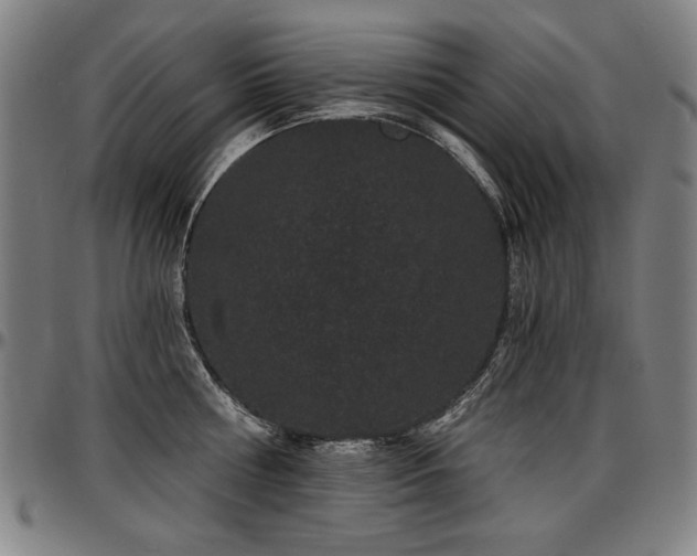 X0000097630810200802291339