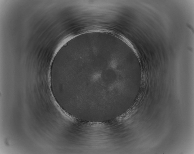 X0000097630811200802291339