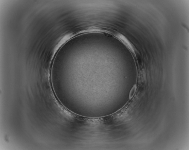 X0000097630813200802291339