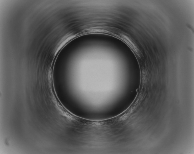 X0000097630814200802291339