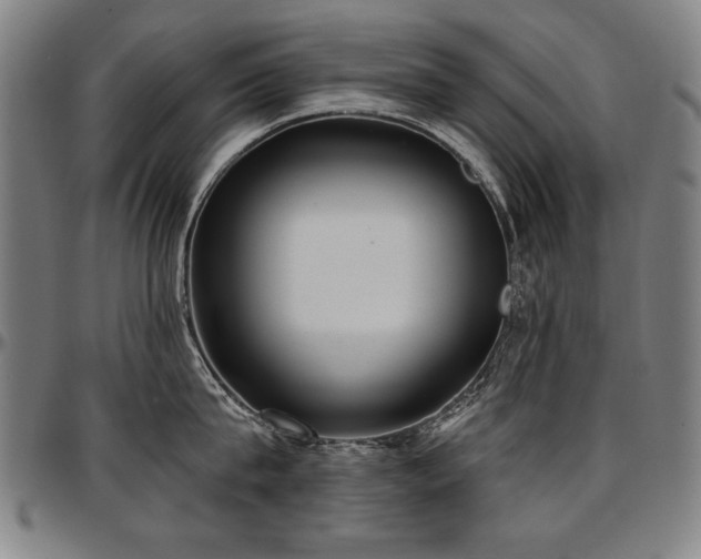 X0000097630815200802291339
