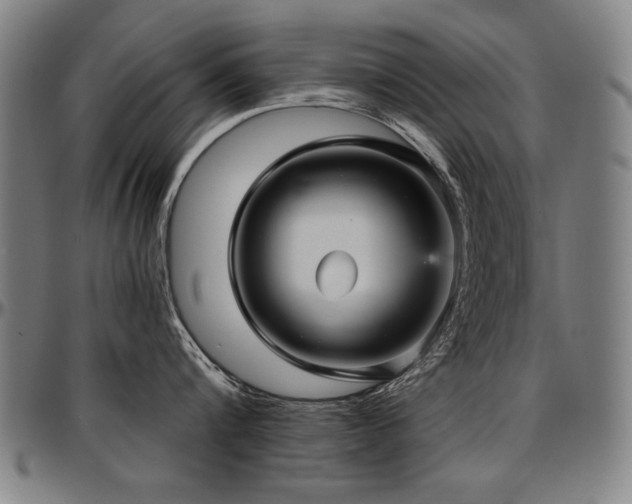 X0000097630816200802291339