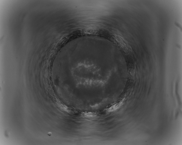 X0000097630817200802291338