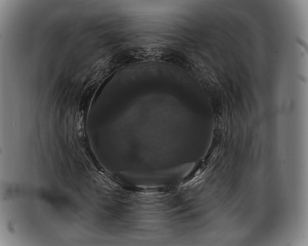 X0000097630818200802291338
