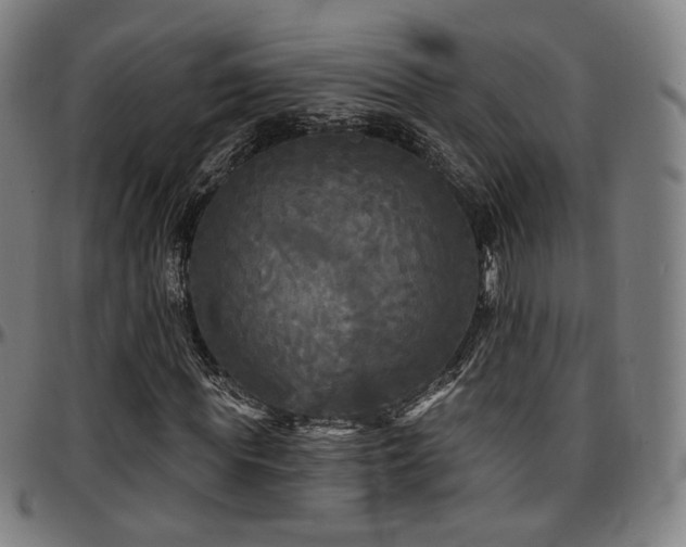 X0000097630819200802291338