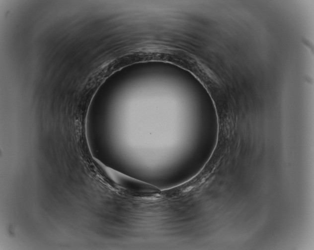 X0000097630821200802291338