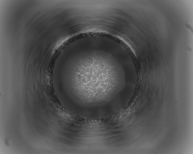 X0000097630823200802291338