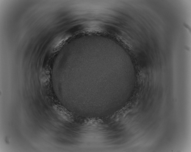 X0000097630824200802291338