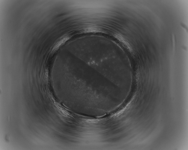 X0000097630825200802291338