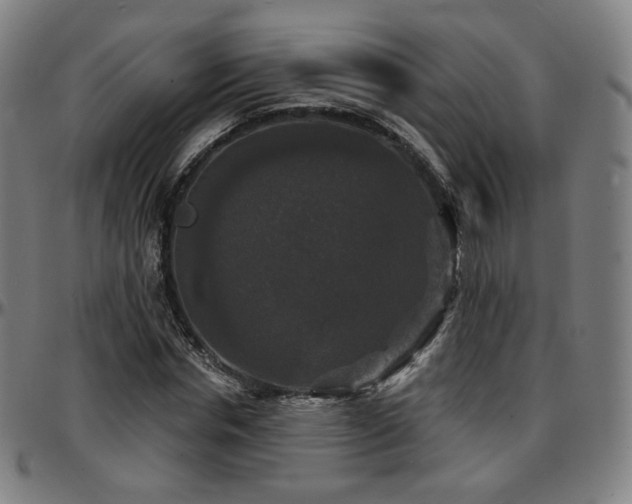 X0000097630826200802291338