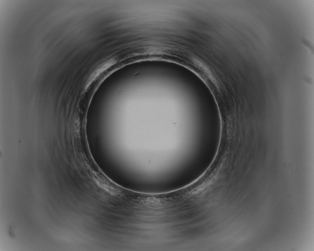 X0000097630827200802291338