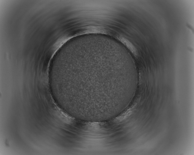X0000097630828200802291338