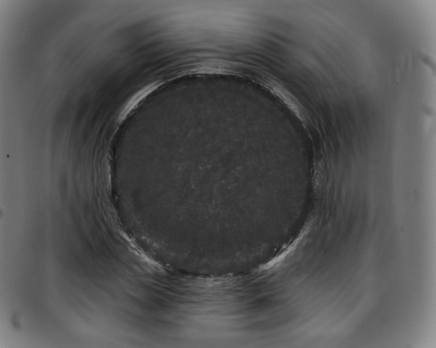 X0000097630829200802291338