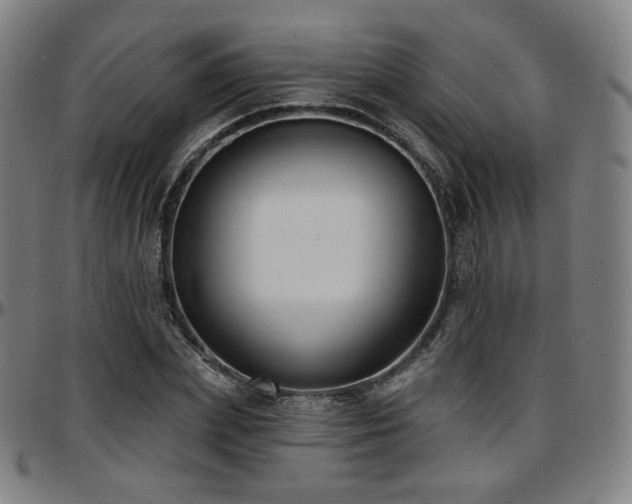 X0000097630831200802291338