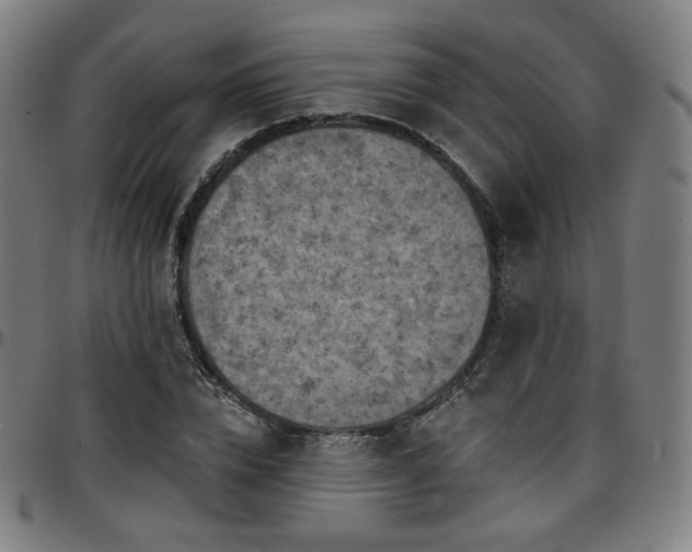 X0000097630832200802291338